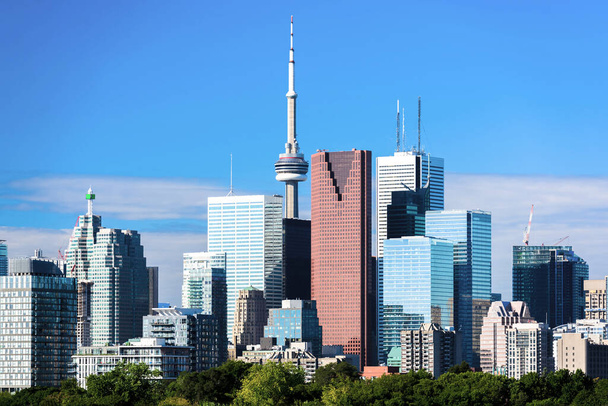 Toronton kaupunkinäköala Riverdale Avenuelta. Ontario, Kanada
 - Valokuva, kuva
