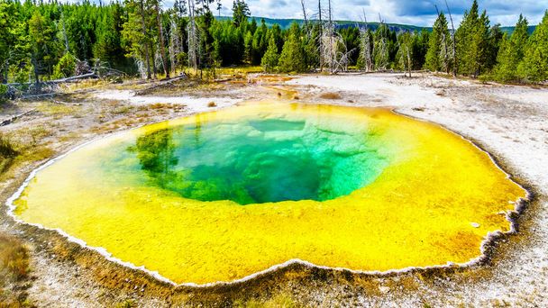 Yellow sulfur mineral deposits around the green and turquoise waters of the Morning Glory Pool in the Upper Geyser Basin along the Continental Divide Trail in Yellowstone National Park, Wyoming, United States - Photo, Image