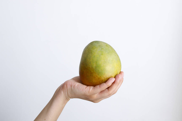 Female hand with green mango on a white background in daylight - Foto, Imagen