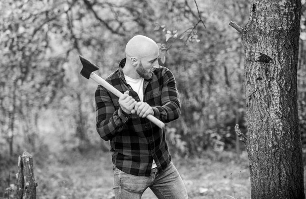 brutal and attractive male in forest. power and strength. lumberjack carry ax. bald woodsman worker. live on rancho. concept of masculinity. bearded hipster cut tree. man checkered shirt use axe - Foto, Imagem
