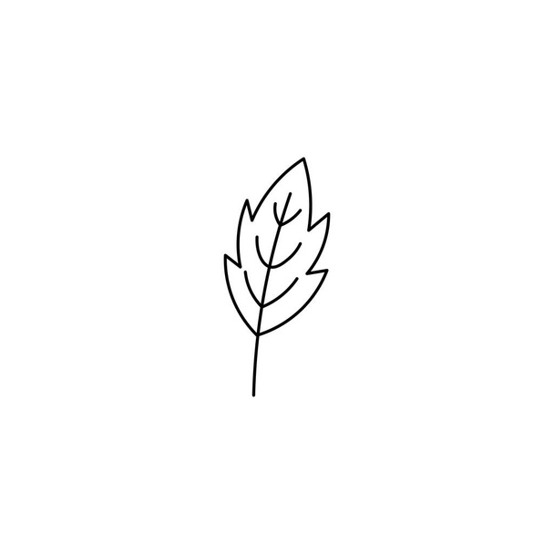 Autumn tree leaf flat vector line illustration isolated on a white background. - Vetor, Imagem