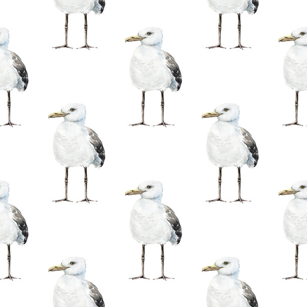 seamless pattern with white seagulls on a light background, watercolor illustration - Zdjęcie, obraz