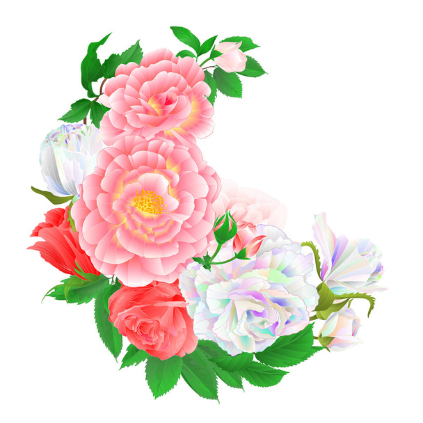Bouquet  pink and white roses and buds  on a white background watercolor vintage vector botanical illustration editable hand draw - Вектор,изображение