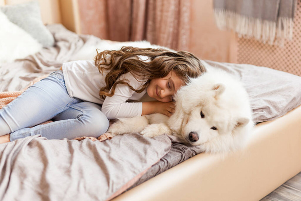 Sonriente juguetona linda niña abrazando gran blanco esponjoso perro Samoyed en casa, en el dormitorio en la cama
 - Foto, Imagen
