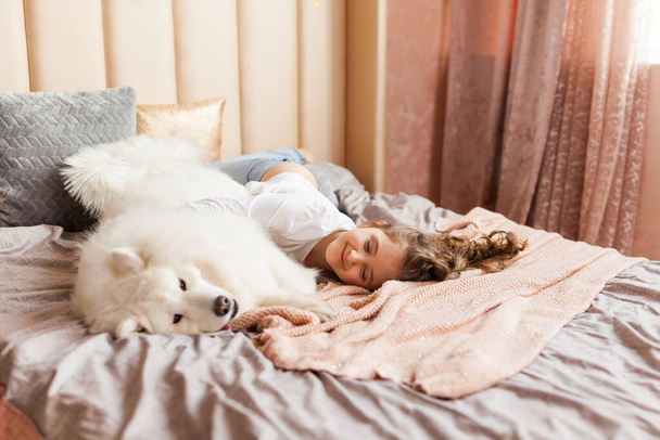 Usmívající se hravý roztomilý holčička objímající velký bílý chlupatý Samoyed pes doma, v ložnici na posteli - Fotografie, Obrázek