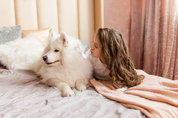 Uśmiechnięty zabawny cute little girl przytulając duży biały puszysty Samoyed pies w domu, w sypialni na łóżku - Zdjęcie, obraz