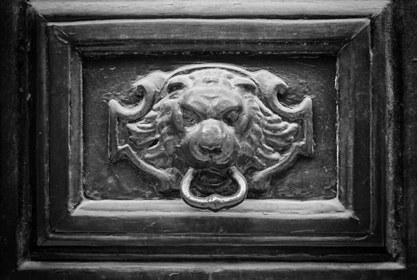 Lví dveřní západka s dřevěnou konstrukcí - Fotografie, Obrázek