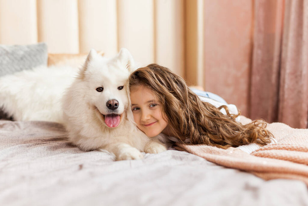 Smiling playful cute little girl hugging big white fluffy Samoyed dog at home, in the bedroom on the bed - Fotografie, Obrázek