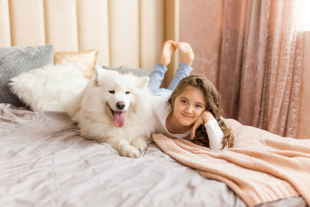 Smiling playful cute little girl hugging big white fluffy Samoyed dog at home, in the bedroom on the bed - Fotó, kép