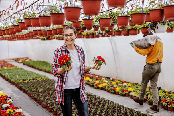 Joven vivero sonriente jardín trabajadora sosteniendo macetas con flores mientras el hombre en el fondo reubicando saco con tierra
. - Foto, Imagen