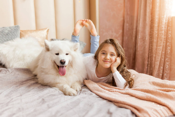 Gülümseyen sevimli küçük kız evde, yatak odasında, yatakta büyük, tüylü Samoyed köpeğine sarılıyor. - Fotoğraf, Görsel