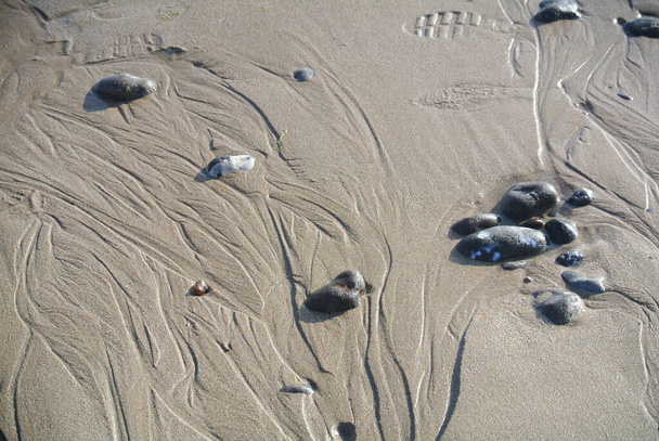 海岸沿いの海の足跡 - 写真・画像
