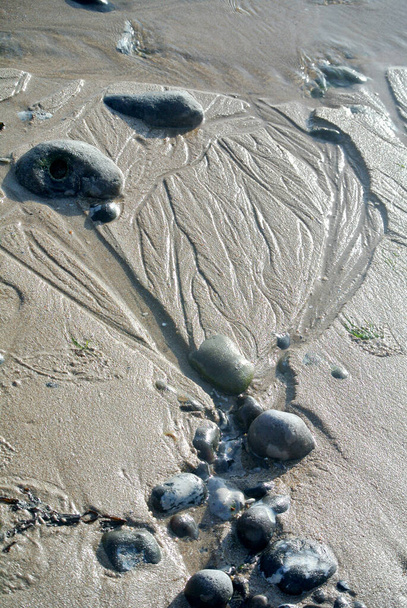 tengeri lábnyomok a tengerparton - Fotó, kép