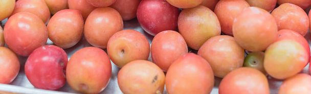 Panoramic view heap of wild plum in aluminum tray display at local fruit market stand in Texas, USA - Photo, Image