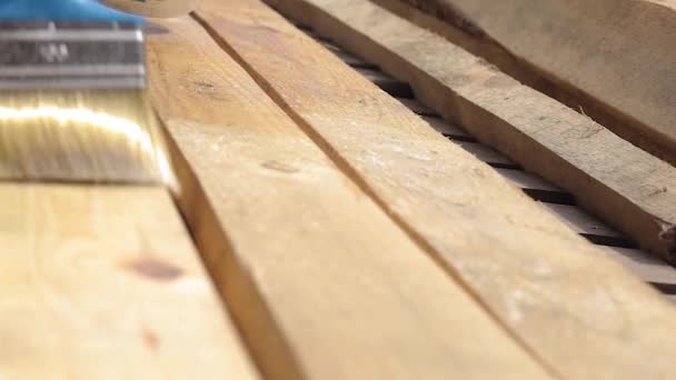 Ahşap döşeme tahtalarını koruyucu kaplamayla cilalamak için fırça kullanan bir işçinin yakın görüntüsü - Video, Çekim