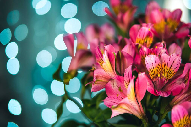 Pembe alstromerya çiçekleri - Fotoğraf, Görsel