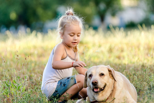 Κοριτσάκι παίζει με λαμπραντόρ στο πάρκο του καλοκαιριού. - Φωτογραφία, εικόνα