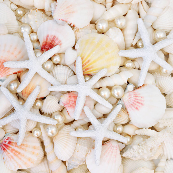 Starfish, scallop, oyster pearls and white shells forming an abstract background. - Photo, Image