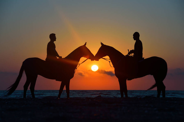 Silhouettes naturelles de deux ridera sur des chevaux Akhal Teke debout nez à nez sur la plage au coucher du soleil. Horizontal, vue latérale
. - Photo, image