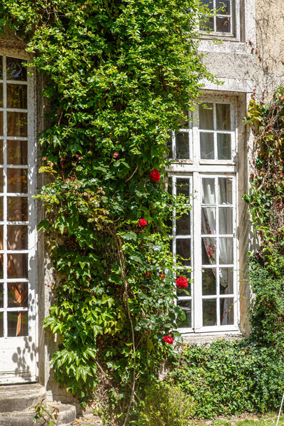 Piros rózsás bokrok egy kőfalon és egy régi ablak fehér kötéssel. - Fotó, kép