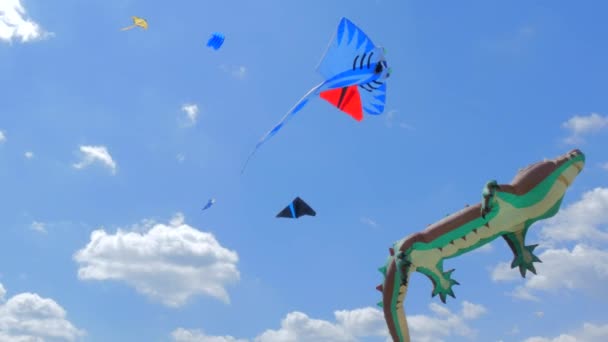 Big Festival of Kites in Ukraine - Imágenes, Vídeo