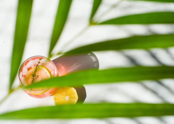 Fresh Sweet Lemonade Water; leaves palm trees - Photo, Image