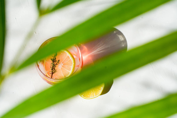 Свіжа солодка лимонадна вода; листя пальми
 - Фото, зображення