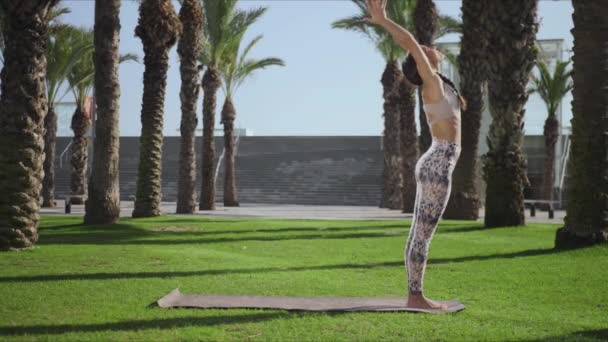 Mujer haciendo pose de palmera en el parque. Chica practicando yoga al aire libre
 - Imágenes, Vídeo