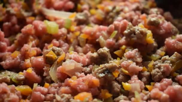 Cozinhar carne picada com legumes para o molho
 - Filmagem, Vídeo