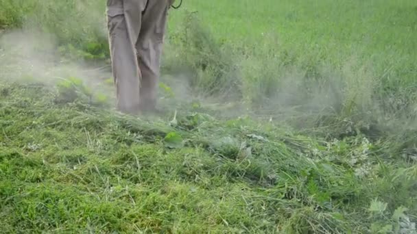 muž zastřihovače posečené trávy - Záběry, video