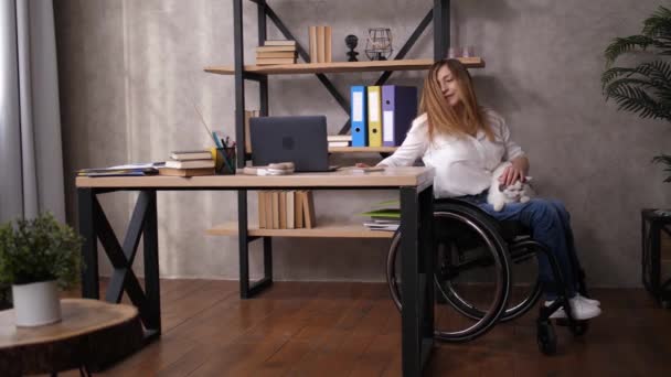 Disabled woman with cat working on laptop at home - Footage, Video