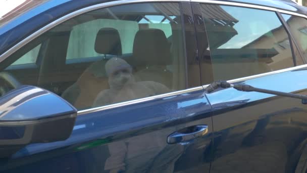 CLOSE UP Nerozpoznatelný virolog rozstřikuje kliku dveří auta antivirovým sprejem - Záběry, video