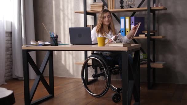 Trabajadora discapacitada con gato de rodillas en la oficina
 - Imágenes, Vídeo