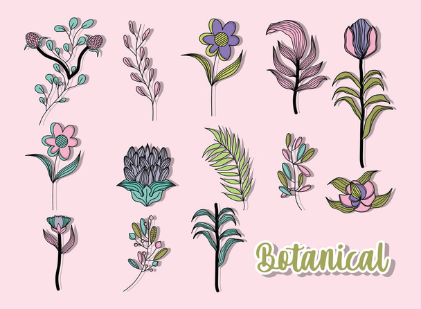 botanical leaves set vector design - Vector, imagen