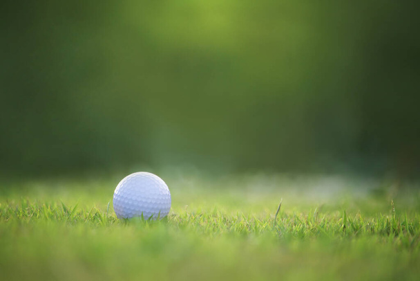 Golfbal is op een groen gazon in een prachtige golfbaan met ochtendzon.Klaar voor golf in de eerste short.Sport die mensen over de hele wereld spelen tijdens de vakantie voor de gezondheid. - Foto, afbeelding