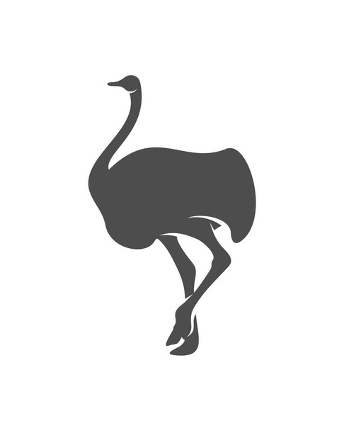 Wektor logo strusia, grafika zwierzęca, ilustracja szablonu projektu strusia - Wektor, obraz