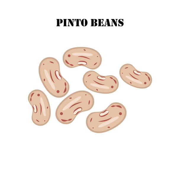Pinto beans illustration on the white background. Vector illustration - Vector, Image