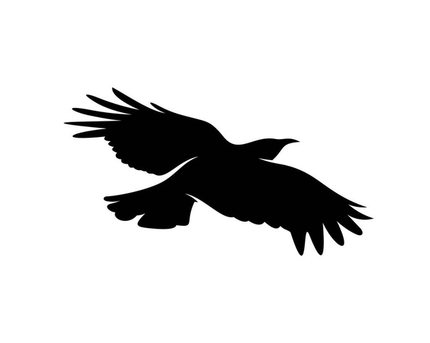 レイブン鳥のロゴベクトルテンプレート、隔離された背景にカラスの黒いシルエット - ベクター画像