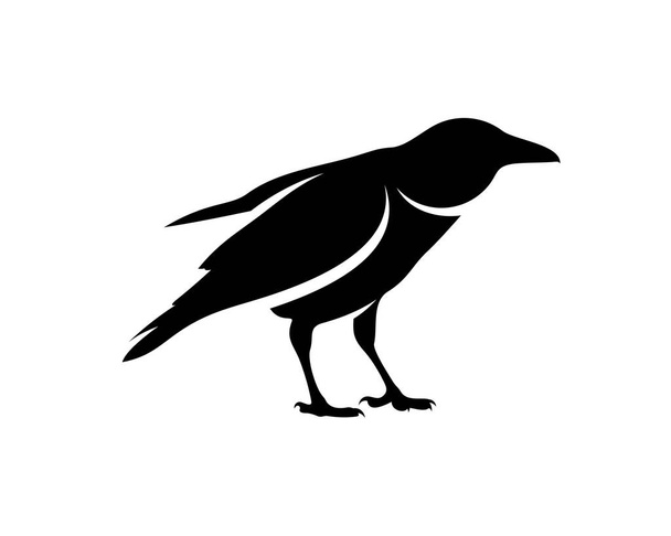 Rabenvogel-Logo-Vektorschablone, schwarze Silhouette einer Krähe auf isoliertem Hintergrund - Vektor, Bild