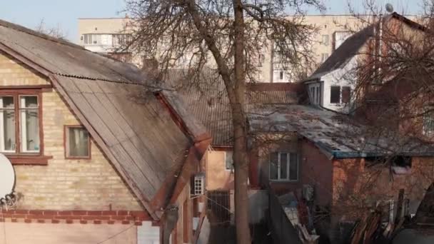 Dry Tree In The Yard - Video, Çekim