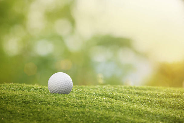 Golf ball è su un prato verde in un bellissimo campo da golf con sole mattutino.Pronto per il golf nel primo short.Sport che le persone in tutto il mondo giocano durante le vacanze per la salute. - Foto, immagini