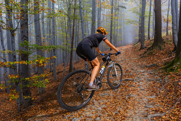 Góra kolarstwo kobieta jazda na rowerze w jesień krajobraz las góry. Kobieta na rowerze Mtb przepływu szlak tor. Aktywności sportowych na świeżym powietrzu. - Zdjęcie, obraz