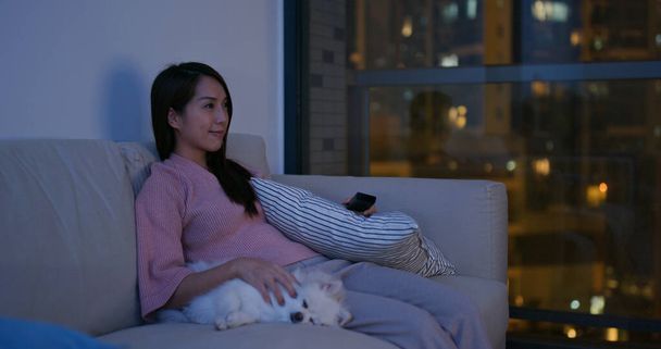 Kobieta oglądać telewizję z jej pies pomeranian - Zdjęcie, obraz