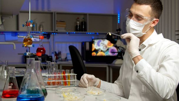 Joven científico examinando brotes en nuevo laboratorio
 - Foto, Imagen