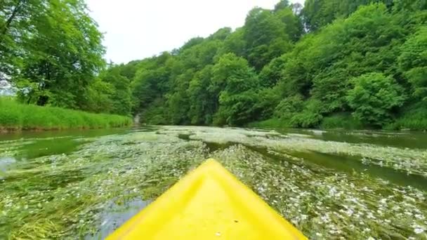 Μικρό ξύλινο σκάφος που πλέει σε ένα άγριο τροπικό ποτάμι στην πράσινη ζούγκλα με μια γυναίκα να κάθεται μπροστά στο σκάφος  - Πλάνα, βίντεο