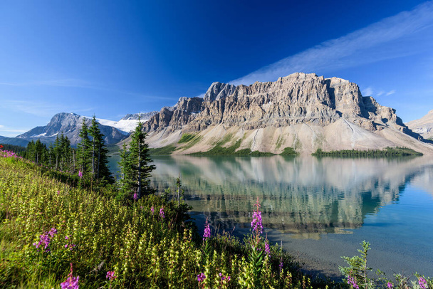 Bow Lake, Banff National Park, Alberta, Canada - Foto, afbeelding