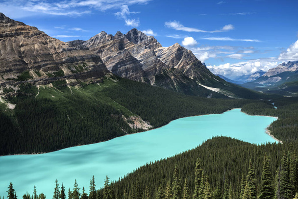 Hermoso lago Peyto, Parque Nacional Banff, Alberta, Canadá
 - Foto, Imagen