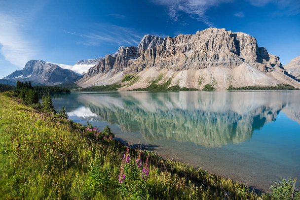 Bow Lake, Национальный парк Банф, Альберта, Канада - Фото, изображение