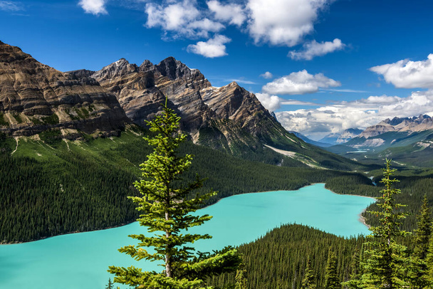 Όμορφη λίμνη Peyto, Banff National Park, Αλμπέρτα, Καναδάς - Φωτογραφία, εικόνα