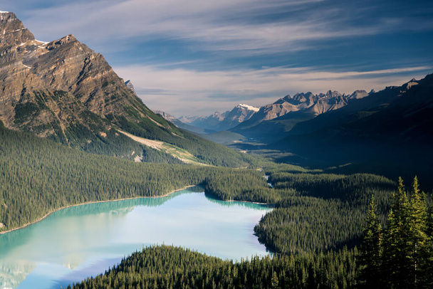 Красивое озеро Пейто, Национальный парк Банф, Альберта, Канада
 - Фото, изображение